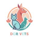 DCR Vets logo